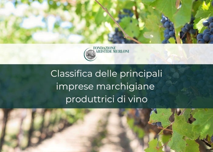Classifica delle principali imprese marchigiane produttrici di vino